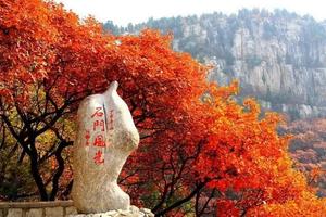 【不是香山胜香山的地方】10/30 （周六）临朐石门坊赏红叶谷、柿子沟摄影休闲一日游