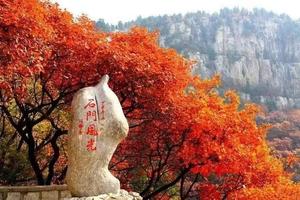 【坐卧车35座•石门坊•1日游•138元】第六期11月02日（周三）青州临朐石门坊红叶节赏秋美摄 【最后一班错过等一年】