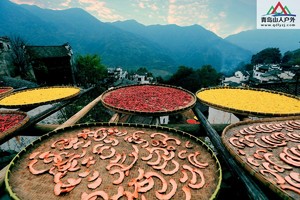 11/10日水墨婺源篁岭『寻幽』『赏枫』『晒秋』|醉美仙山三清山赏秋周末二日游