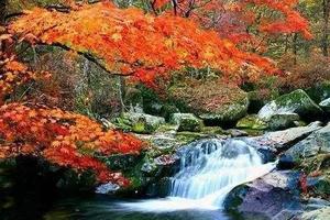 【庐山秋色】10/27走遍“三山五岳”之江西庐山相约共赏金秋大美庐山真面目二日游