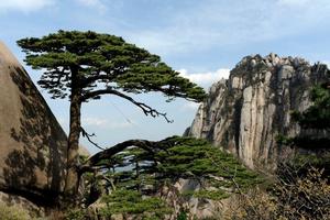 9.12/15日两期纯玩大美黄山|梦幻西海大峡谷|观云海|看日出2日