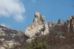 【请带年卡】1/14日崂山『寿星石』『天地淳和』登山活动召集（自行到达）