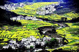 【赏一路花开A线】3月16~18周末相约中国最美乡村『水墨婺源』『赏万亩梯田油菜花海』『寻梦里老家』『屯溪/黎阳老街』