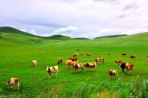 7/19~22承德『避暑山庄』『丰宁坝上草原』『锡林郭勒大草原』『张北中国66号公路草原天路』 三大草原一次玩个够3日