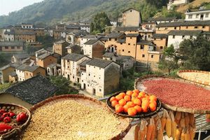 【VIP头等舱房车大巴-徽州·晒秋】10月26~28日游阳产土楼+篁岭晒秋+塔川·协理秋色+儒村徽菊+宏村+屯溪老街2日