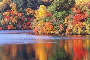 【VIP房车•辽东秋摄•6日•特价回馈】10/08~13山海关•盘锦红海滩•抓稻田蟹•老边沟•关门山•水洞•山海关•故宫