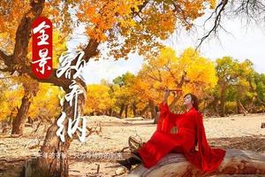 【VIP头等舱21人•国庆8日•金秋额济纳】10/1~8云冈石窟•胡杨林•怪树林•西夏陵•梦幻峡谷•波浪谷•平遥古城