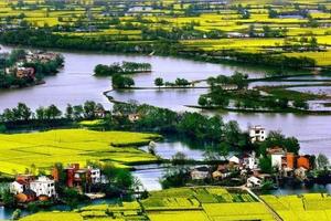 【坐卧车•莫干山•周末•3日】3/21~23重走蒋公古道“江南第一山”莫干山•响水涧万亩水上花海•高淳老街•南浔古镇夜景