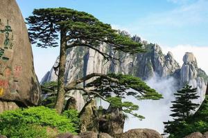 【VIP房车19人•深度游黄山•3日】4/14~16日三山五岳之黄山•画里宏村•南屏古镇