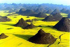 【高品小团•双飞•7日•滇东南】2~3月三期罗平花海 •元阳梯田•普者黑•东川红土地•建水古城•浪巴铺土林•元阳梯田