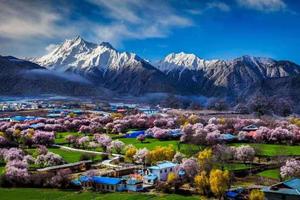 【高品小团•藏地花开•川藏南线•10日】3月多期金川梨花•中路藏寨•措普沟•然乌湖•来古冰川•林芝桃花•雅鲁藏布大峡谷