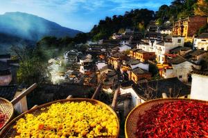 【VIP房车19人•6日•皖南+婺源秋色】11/18~23篁岭晒秋•画里宏村•奇墅湖•桃花潭•齐云山•塔川•千亩落羽杉林