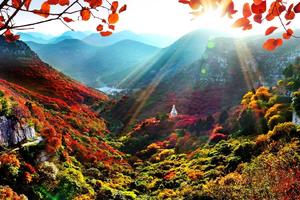 【坐卧车35座•青州赏秋•2日】11/1-2日临朐石门坊•红叶节秋摄•青州古城•博物馆•不夜城•井塘古村•临朐全羊汤