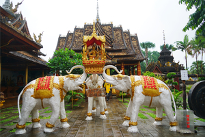 【高品小团•6日•直飞版纳】3月22~27日•西双版纳•野象谷•勐仑植物园•大佛寺•热带雨林部落•10人成团（三月两期）