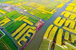 【坐卧车35•兴化•李中•周末】3/29~30日船游兴化千垛万亩油菜花•淮安河下古镇李中水上森林竹筏漂流盐城欧风花街