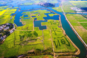 【坐卧车•莫干山•周末3日】4/7~9重走蒋公古道“江南第一山”莫干山•响水涧万亩水上花海•高淳老街•南浔古镇夜景