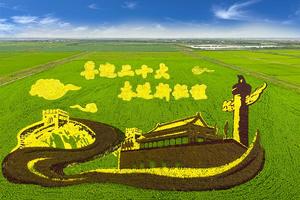 【7人团•黄河口•稻香蟹肥•上门接送】9/27~28黄河廊道•安澜湾湿地•东津渡遗址•黄河入海口•黄河大闸蟹•3D稻田画