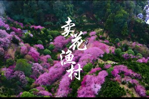 【坐卧车35人•4日•徽州过大年•赏梅•嬉鱼灯】第二期初十~十三歙县秘境•卖花渔村•新安江畔•土楼•呈坎•阳产•渔灯节