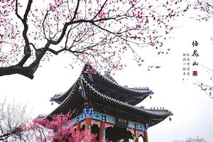 【VIP房车•南京•梅花山•3日】2月24-26日中国四大赏梅圣地•南京梅花山•秦淮河•博物院•牛首山