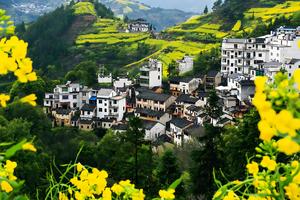 【VIP头等舱•婺源全景•4日•一山双岭】3月20~23从婺源到齐云山•双岭花事•篁岭•江岭•龙天塔•花田乡•呈坎