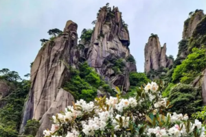 【VIP房车•4日•三清山•望仙谷】5/13~16日江西三清山•赏高山杜鹃花海•篁岭晒秋•望仙谷夜景•李白笔下之桃花潭