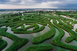 【VIP房车19座•五一玩转盐城•“郁”见花海】5/04~5日船游大纵湖迷宫芦苇荡•东晋水城▪荷兰花海▪欧式风情街