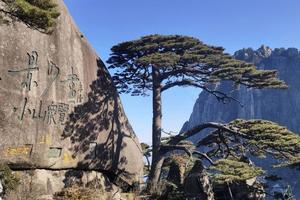 【VIP头等舱21人•黄山宏村•3日】10/10~12日三山五岳之黄山•画里宏村•南屏古镇