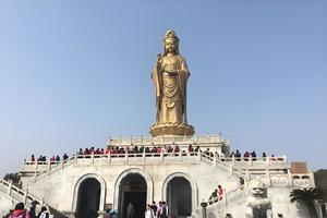 【8人小车团•4日•普陀山祈福•上门接送】2月25~28日四大佛教名山普陀山•普济寺•周庄古镇•无锡灵山大佛