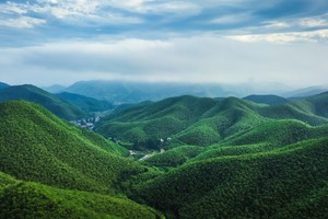 【VIP头等舱21人•端午节3日•莫干山】5/31~6/2重走蒋公古道“江南第一山”莫干山•南山竹海•南浔古镇夜景