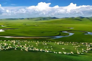 【VIP头等舱21人•呼伦贝尔环线•10日】8/22~31日呼伦贝尔草原•阿尔山森林公园•国门满洲里•边城室韦•卡线边境