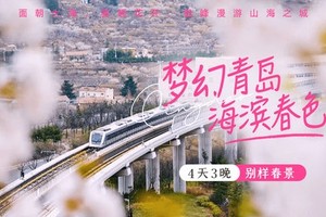 【2~8人私享小团•随到随接•限花季天天发团】3月~4月多期•梦幻青岛•海滨春色 •漫游山海之城 4天3晚