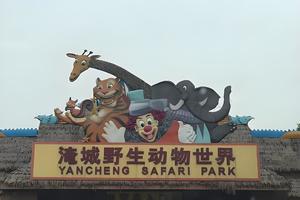 【VIP房车大巴19人•4日•玩转常州】2月10~13日淹城春秋乐园•南山竹海•南京•淹城野生动物世界•水镇灯会