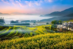 【VIP房车19人•婺源全景•经典+小众•4日】3月14~17双岭花事•最美乡村江岭•篁岭•弦高古城•上坦•虹关•庆源