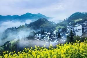 【VIP房车19人•婺源+皖南秘境•4日】3/28~31日篁岭梯田花海•龙天塔•察关•虹关•新安江山水画廊•石潭•呈坎