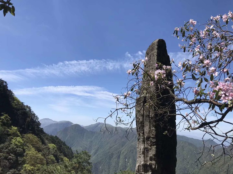 江西安福的羊狮幕景区高山悬空栈道美景