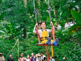 西双版纳丨野象谷 +中科院植物园-夜探植物园+基诺山雨林探秘+5钻酒店
