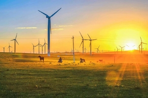 从黄河峡谷到火山草原，从沙漠狂欢到云下牧歌，5天时光读懂自然与人文的壮阔！
