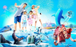 周末2天丨穿越深中通道，珠海长隆海洋王国、港珠澳大桥、日月贝、珠海渔女