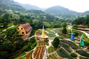 4月18日丨广东徒盟第二站•增城二龙山油桐花18公里徒步活动