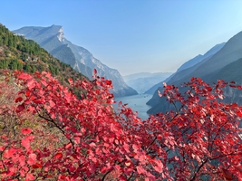 徒步三峡丨2026第二届中探联三峡之巅红叶徒步大会
