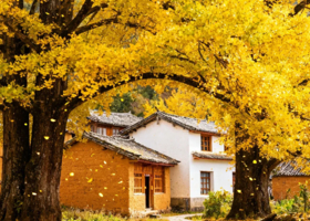 特价一期！极边之旅丨行走芒市瑞丽腾冲，边境人文温泉深度游
