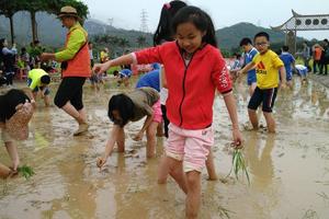 2018清明广州自然学校：插秧、植树、住腾屋、挖马蹄、打地鼠等两天乡村体验亲子活动