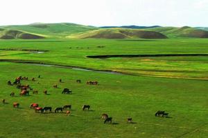 【亲子营】趣蘑菇2018呼伦贝尔草原7日亲子夏令营：深度体验草原特色文化和牧民生活