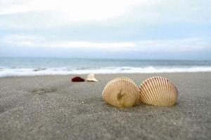 2018端午│惠州霞涌两天沙滩亲子游，寻找童年乐趣！