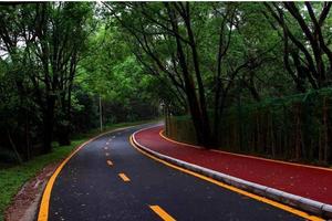 深圳罗湖仙湖绿道9KM班级亲子徒步活动