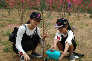 3月10日亲子植树│深圳大鹏赏花、植树、插秧、打地鼠、滑梯、溜索、磨豆浆1天亲子活动