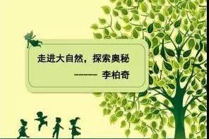 早鸟特价｜2019南昆山8天自然探索户外成长夏令营，立减300元/人