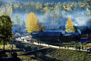 徒个中国●新疆丨喀纳斯轻装徒步50公里，北疆醉美秋色一网打尽