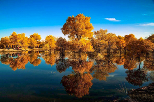 额济纳•高铁环线8日｜9-10月莫高窟-鸣沙山-弱水金沙湾-黑城怪树林-沙漠日落-居延海-金塔胡杨林8日游