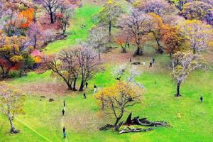 徒个中国 • 吉林｜徒步吉林长白山原始森林，登天池之巅